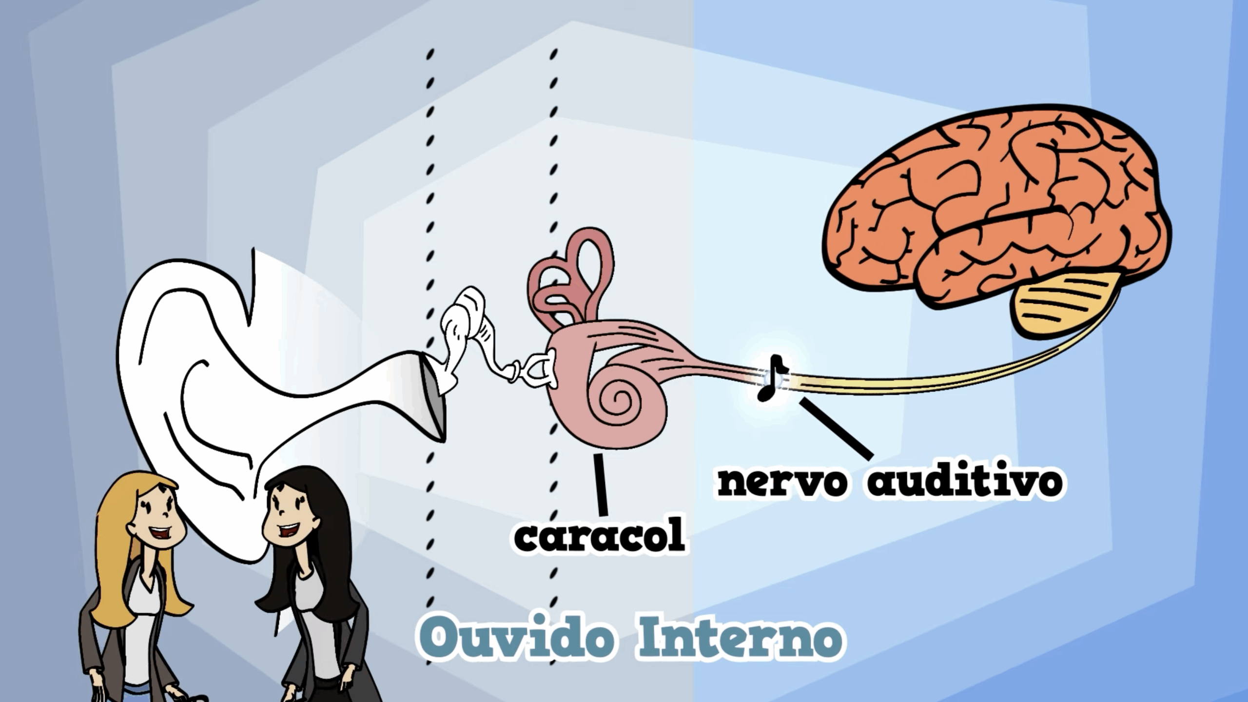 As canções da Maria – Human Body Special